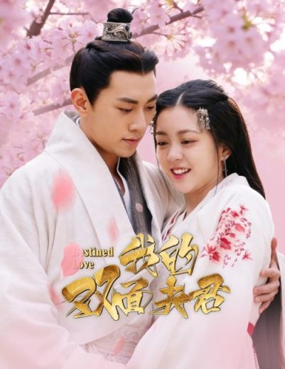 مسلسل Destined Love مترجم الموسم الاول